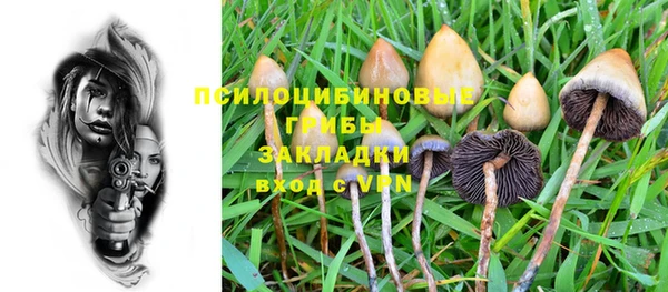 крисы Алексин