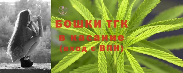 крисы Алексин