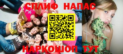 мяу мяу мука Аргун