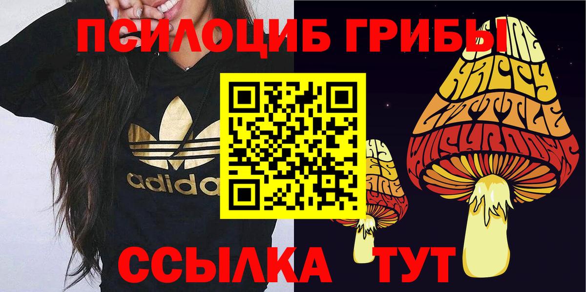 Псилоцибиновые грибы ЛСД Челябинск