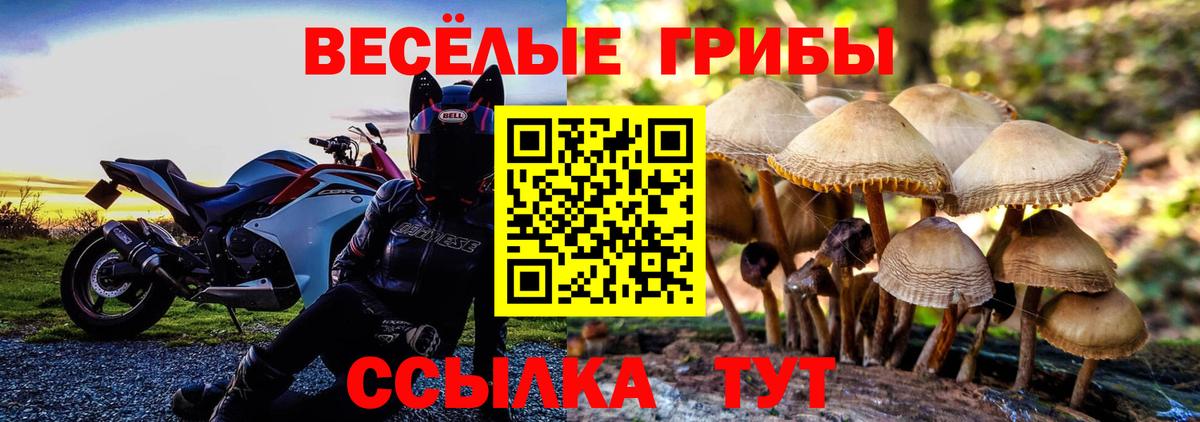 Челябинск  Галлюциногенные грибы MAGIC MUSHROOMS  Вход с VPN  Псилоцибиновые грибы Magic Shrooms 
